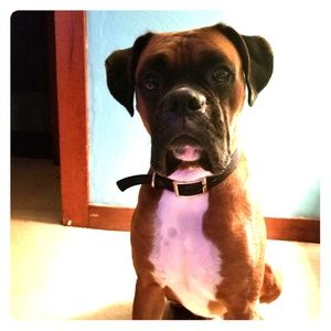 Meet your Posher, Brad